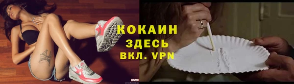 кокс Алексин