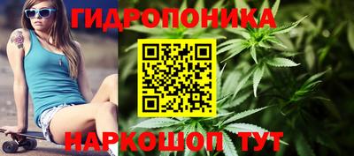 бошки Вышний Волочёк