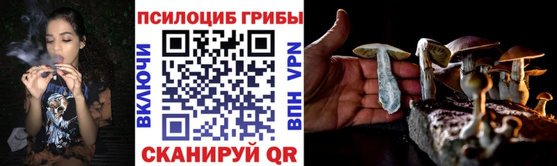 Псилоцибиновые грибы GOLDEN TEACHER Анапа