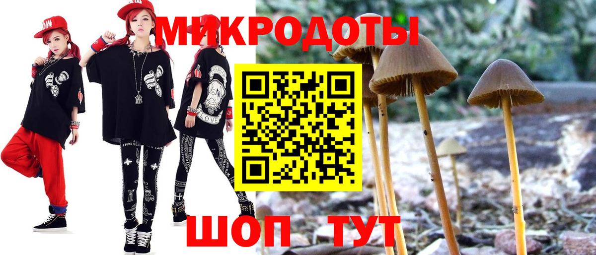 Псилоцибиновые грибы Cubensis  Вход с VPN  Анапа 